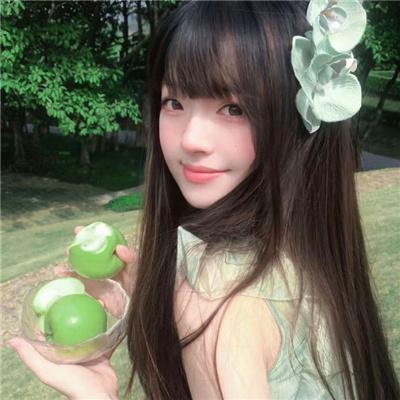 缉凶双宝